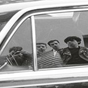 Gulls Window Circus #596 part 2