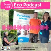The Local Eco Show - 29th August 2025