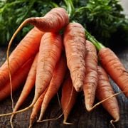 All About the Carrot Root Vegetable - Its Definition & Nutrition - Audio Blog