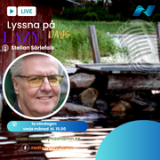 Lazy Days med Stellan Särlefalk — Prg 04 (2025-08-03)