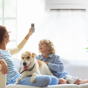 Do Carbon Filters Remove VOCs? A Deep Dive into Clean Air Solutions - Audio Blog