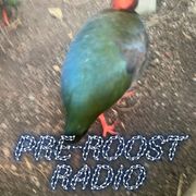 Pre-Roost Radio - mit Kai, Manischa & Wiebke (25.11.2025)