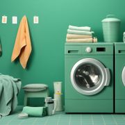 Dryer Vent Cleaning in Celebration, FL: Professional, Hassle-Free Service - Audio Blog