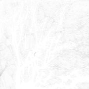 no idea radio ep.04 - consciousness