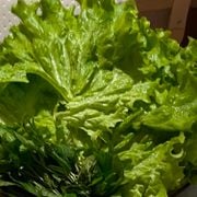 David Byrne Radio Presents: Dinner Music