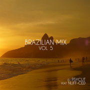 Brazilian Mix vol 5 feat Nuff-Ced