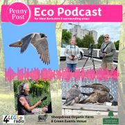 The Local Eco Show - 19th July 2024