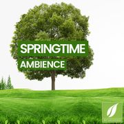 Springtime Ambience