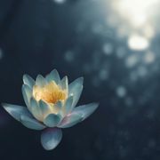 Meditation Zone
