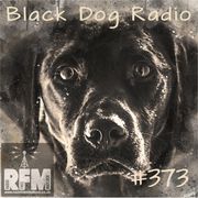 A Few Tunes with Black Dog Radio #373 (11/05/24)