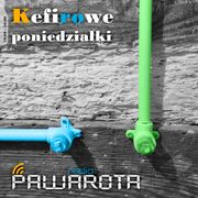 Kefirowe poniedziałki - Wczucior #65/1331 PAWAROTA Radio - 22.04.2024