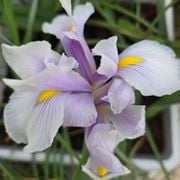 ספרים סופרים ומה שביניהם ברדיו קסם 106אפאם מיום 28/08/24