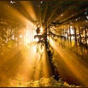 Ladyfunk - Chilled out part 1