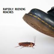 Rapidly Ruining Roaches