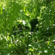 M3M0RYL34K 00000072 2024.07.07