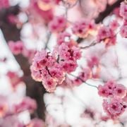 Chase E - Wedding Mix 2