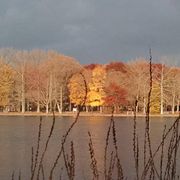 FM Odyssey - THANKSGIVING SPECIAL EDITION 11/27-2025 THREE (Of Three)