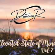 Elevated State of Mind Vol 7