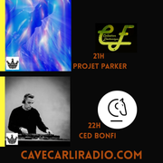 Collation Electronique S01 EP20 Projet Parker- Ced Bonfi