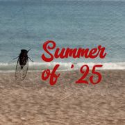 blanketed by static - Summer of '25 (26.5.2025)