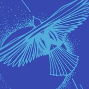 ALTBLUZOUK