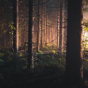Folk Show: Episode 116