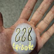 Episode #228