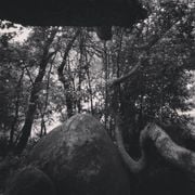 Núvol de fum 445 | pensaments furtius