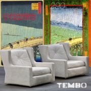 Tembo Tembo 290