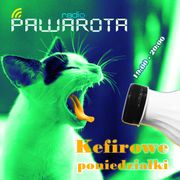 Kefirowe poniedziałki - Wczucior #21/1075 PAWAROTA Radio - 15.05.2023