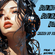 Sound Source Vol. 20 - mixed by Timeflyer