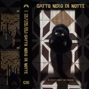 The Flying Zoo & Dream Weapons present: GATTO NERO DI NOTTE C90