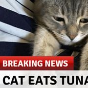 Olba Bueno with Mokes. Special Guest: Couch Tuna (07.18.2025)