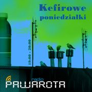 Kefirowe poniedziałki - Wczucior #18/1055 PAWAROTA Radio - 17.04.2023