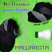 Kefirowe poniedziałki - Wczucior #28/1121 PAWAROTA Radio - 17.07.2023