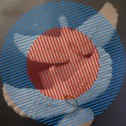 MS078 Splendid Behaviour