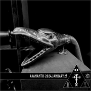 Adamantis 20240123 (Correctum)