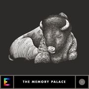 The Memory Palace: The Thundering Herd, The Vanishing American