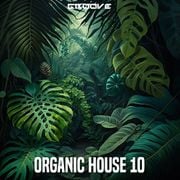 Groove Organic House  10