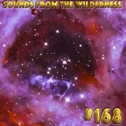 #168 SFTW 23 March 2025