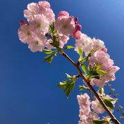April 2026 Mix
