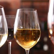 The Difference Between Pinot Gris vs Pinot Grigio. A Flavor, Origin, and Guide for Enthusiasts