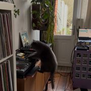 Worldwide Breakfast: Valentine Comar //  28-01-26
