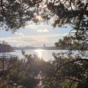 Trigger 18 november 2023