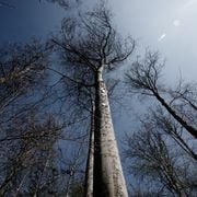 #560 - Tout tourne tout le temps