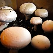 Quietmusic - Complete Three-Hour Program - Mar 1