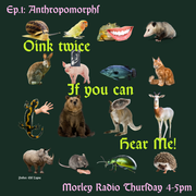Oink Twice if You Can Hear Me - Episode 1