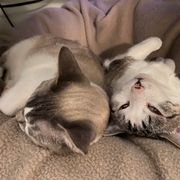 Must Be the Love <3