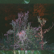 Autour de Synth Chapelle w/ Sarah Terral (06/02/25)