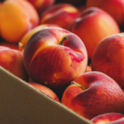 Experience the Best Organic Peaches Fruit Subscription Box and Delivery Plan - Audio Blog